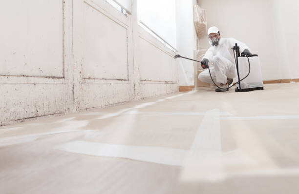 24/7 Emergency Mold Removal experts in Kingston, NY